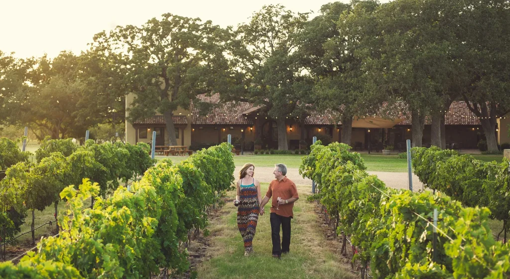 USA – Texas: ranch, rodei e barbecue