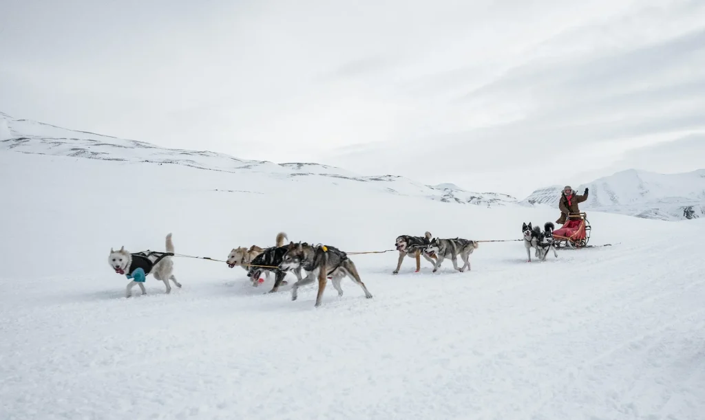 Svalbard – Fuga polare alle Svalbard