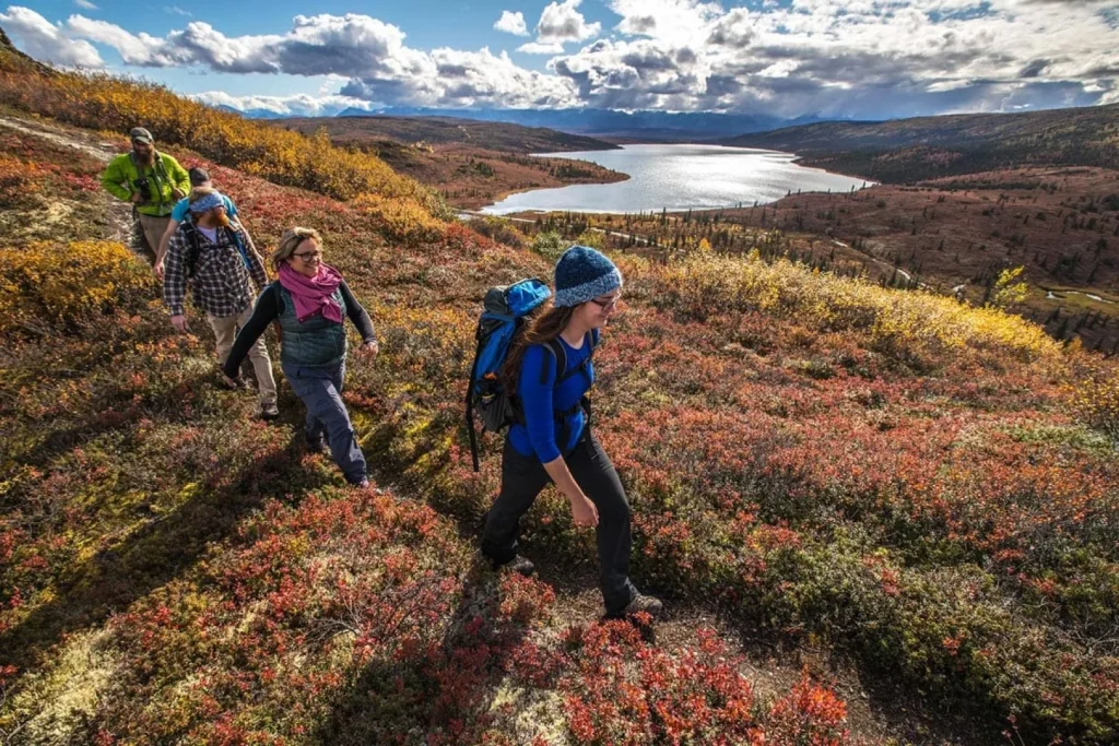 Alaska - Nel cuore di Denali in treno