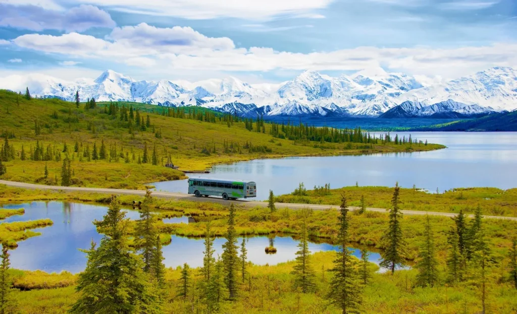 Alaska - Nel cuore di Denali in treno