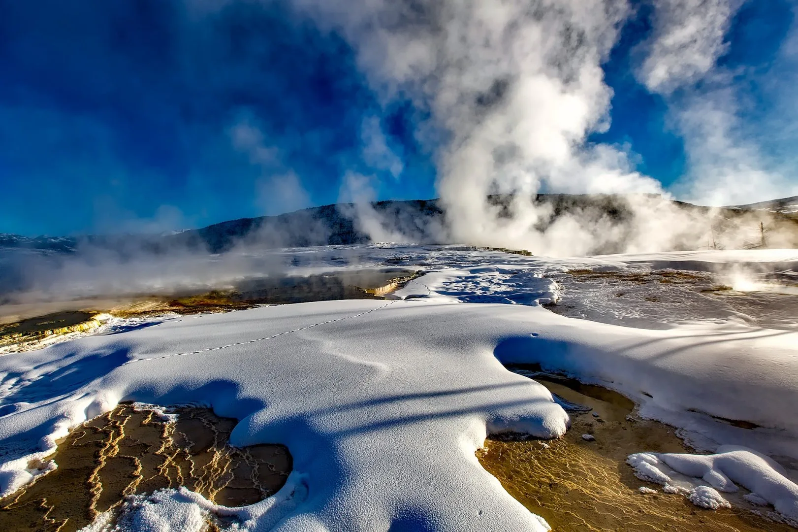 USA - Escursionismo d'inverno nello Yellowstone