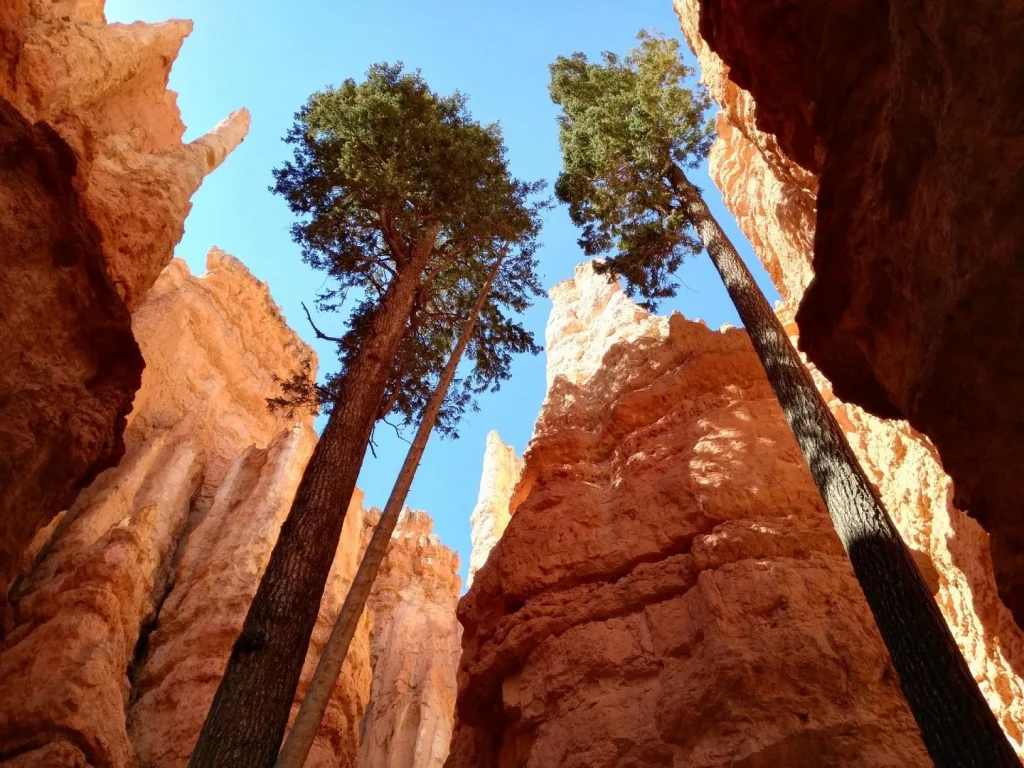 USA - Trekking nel Grand Canyon e parchi del Sud-Ovest