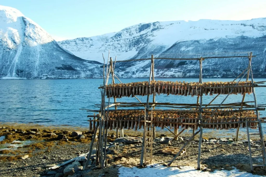 Norvegia - In auto da Tromsø a Capo Nord