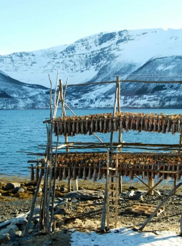 Norvegia - In auto da Tromsø a Capo Nord