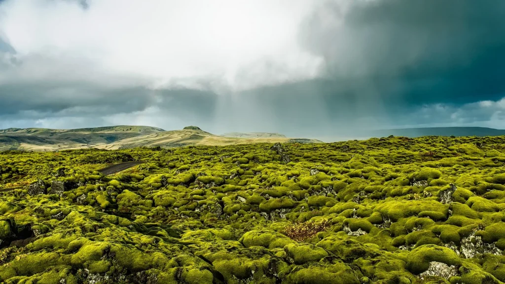 Islanda - Self drive tra altopiani e pianure islandesi
