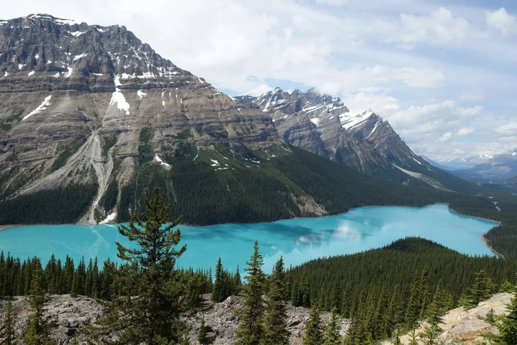 Canada - Dinosauri, ghiacciai e balene