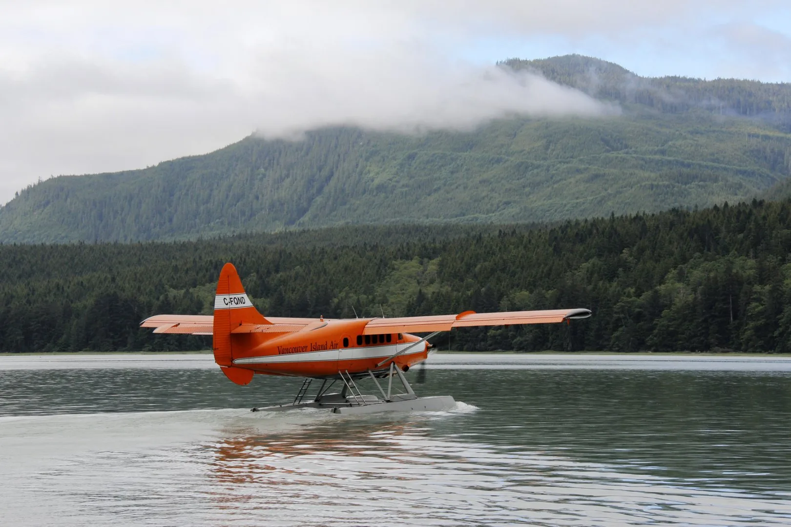 Canada – Nel regno dei grizzly al Knight Inlet Lodge