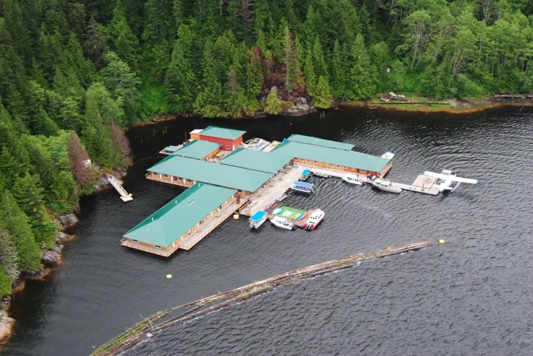 Canada – Nel regno dei grizzly al Knight Inlet Lodge
