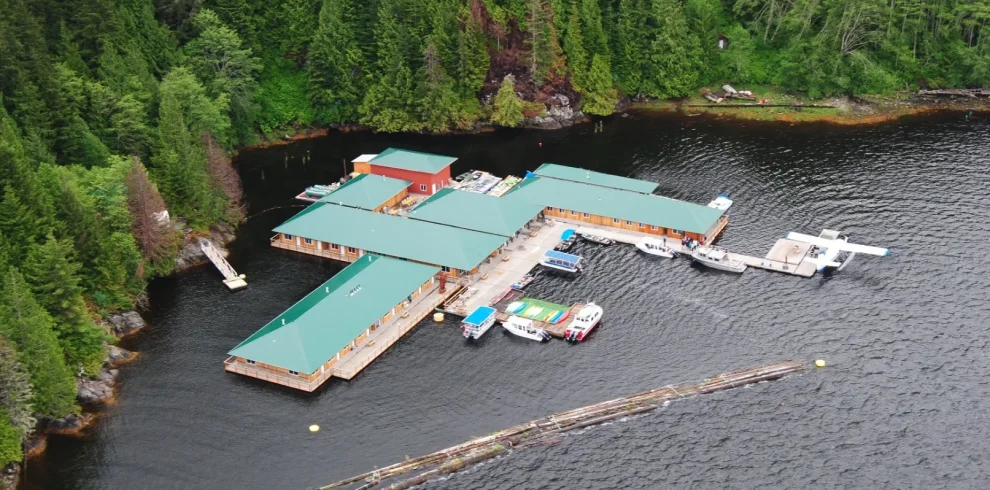 Canada – Nel regno dei grizzly al Knight Inlet Lodge