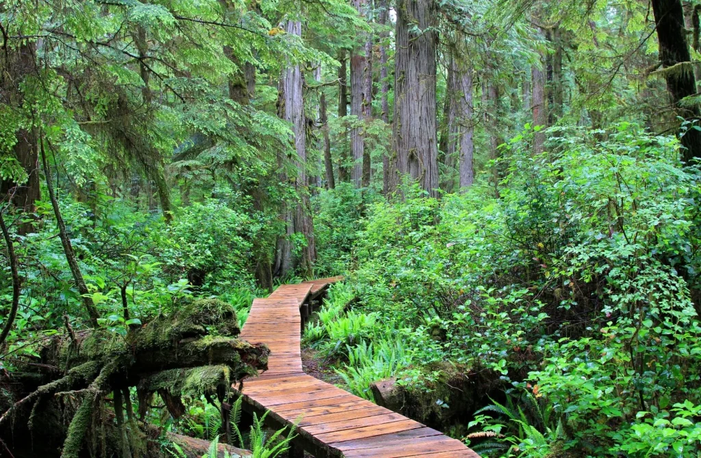 Canada & USA - Vancouver Island e Hawaii