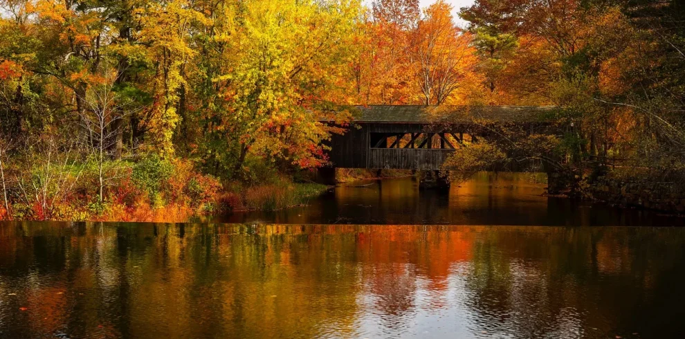 USA - I colori del New England