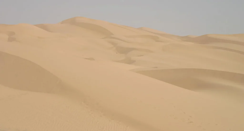 USA - Arizona, deserti & praterie