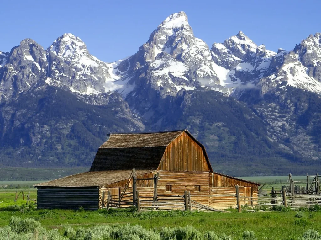 USA - Montana e Wyoming in libertà