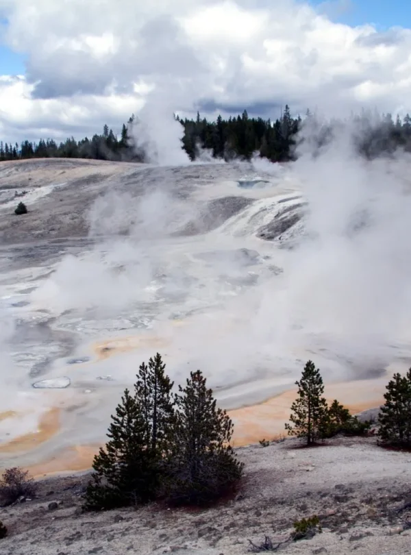 USA - Montana e Wyoming in libertà