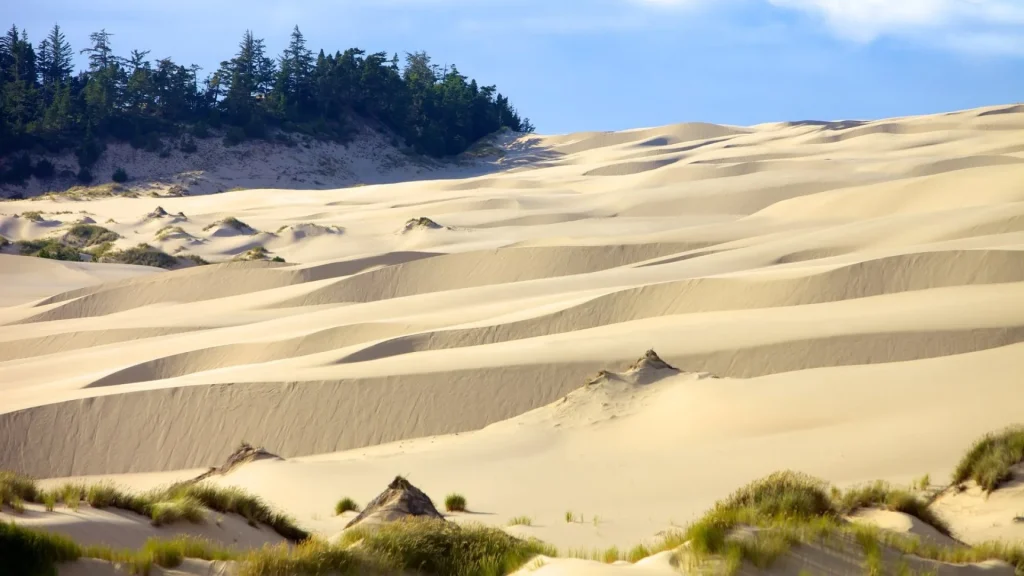 USA - US Pacific Coast