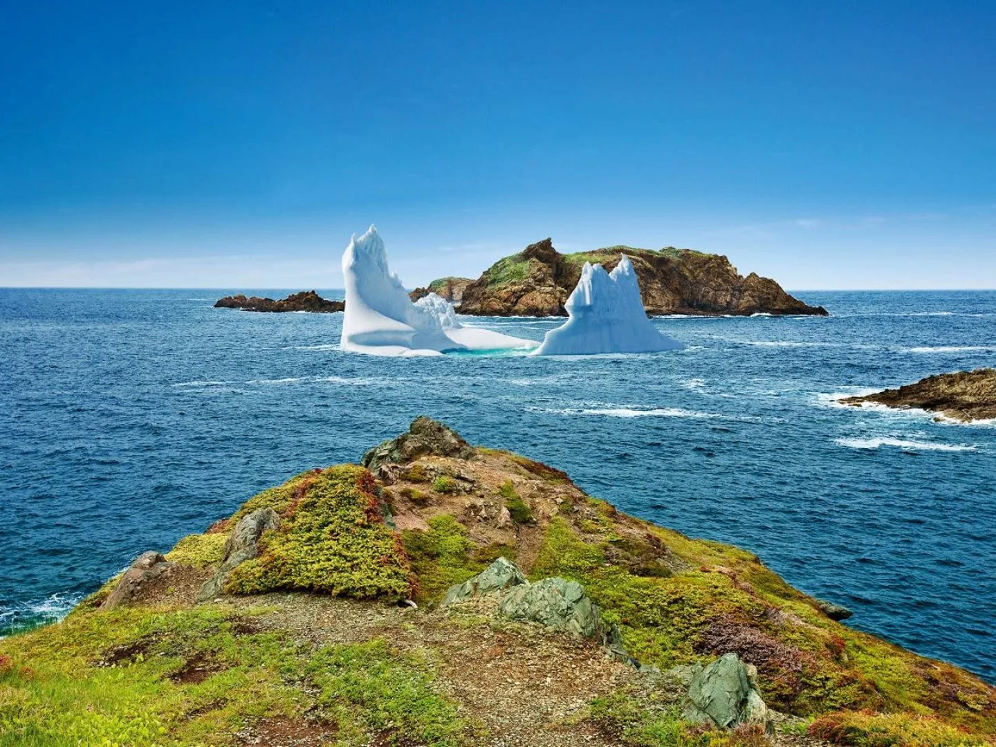 Canada - Terranova, tutto un altro mondo