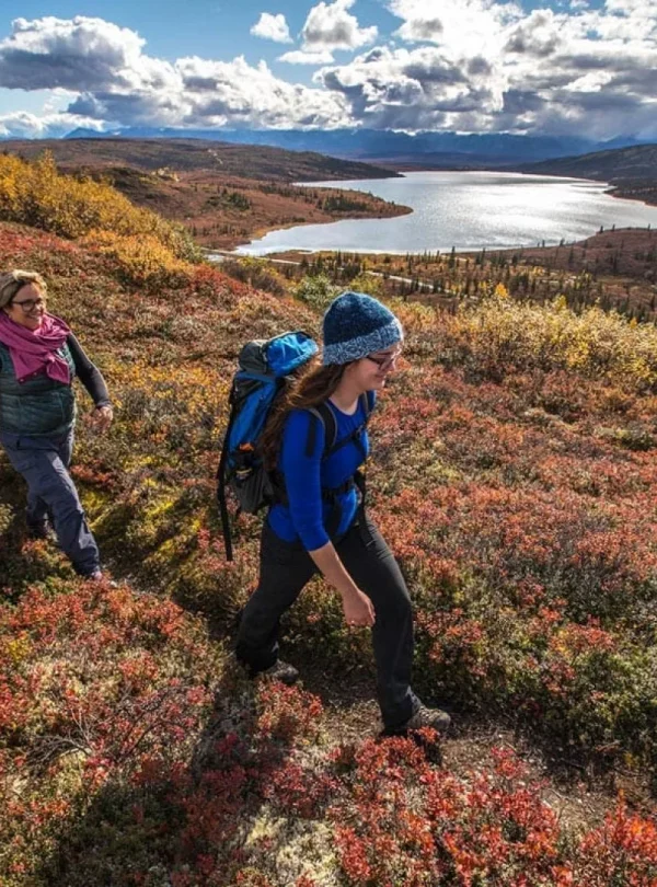Alaska - Dalla costa al selvaggio Denali
