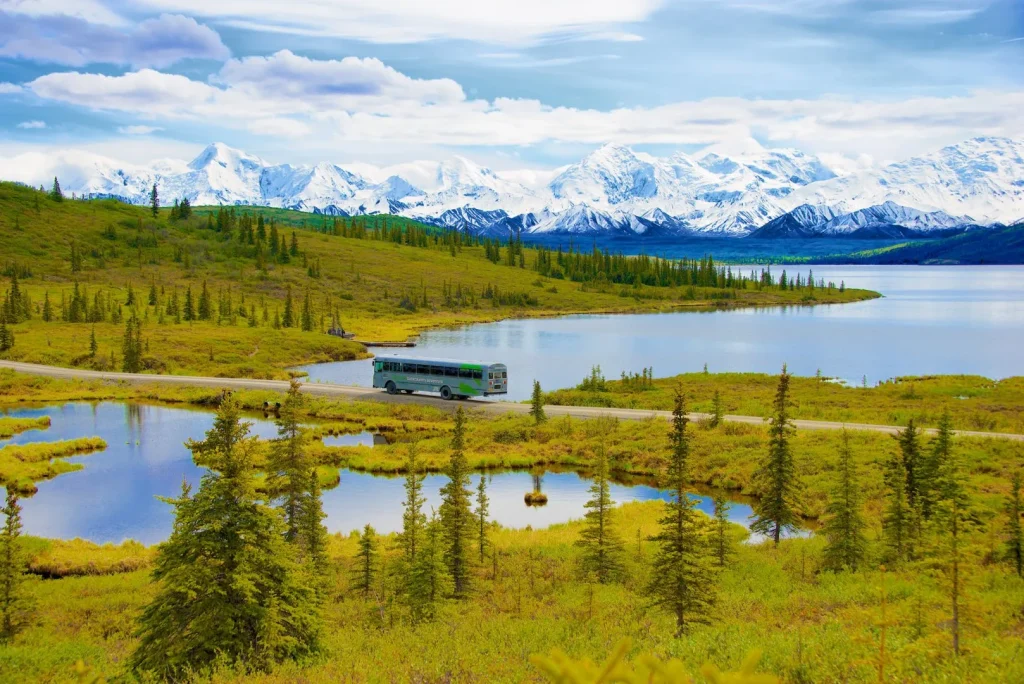 Alaska - Dalla costa al selvaggio Denali