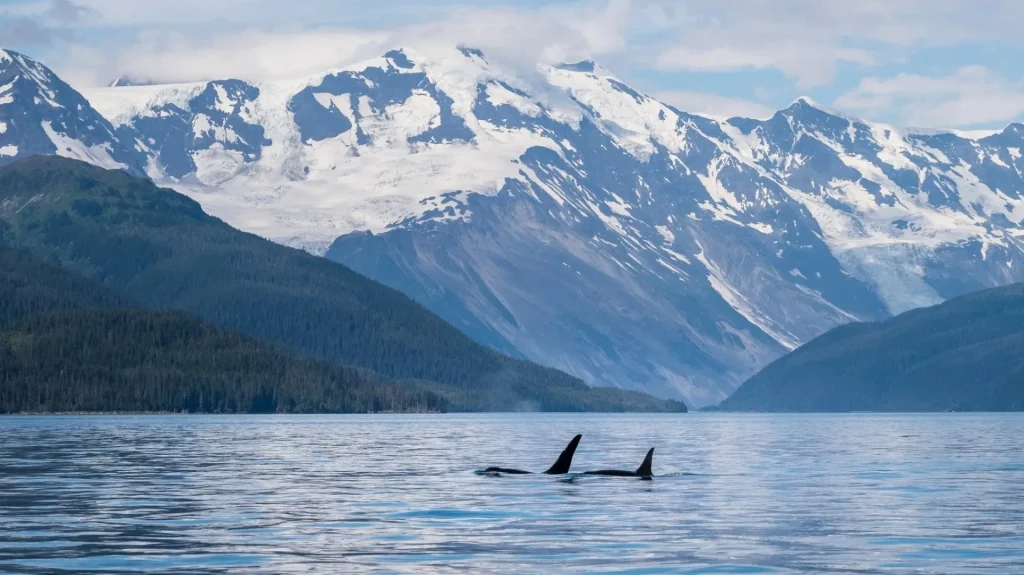 Alaska - Alaska highlights in 10 giorni