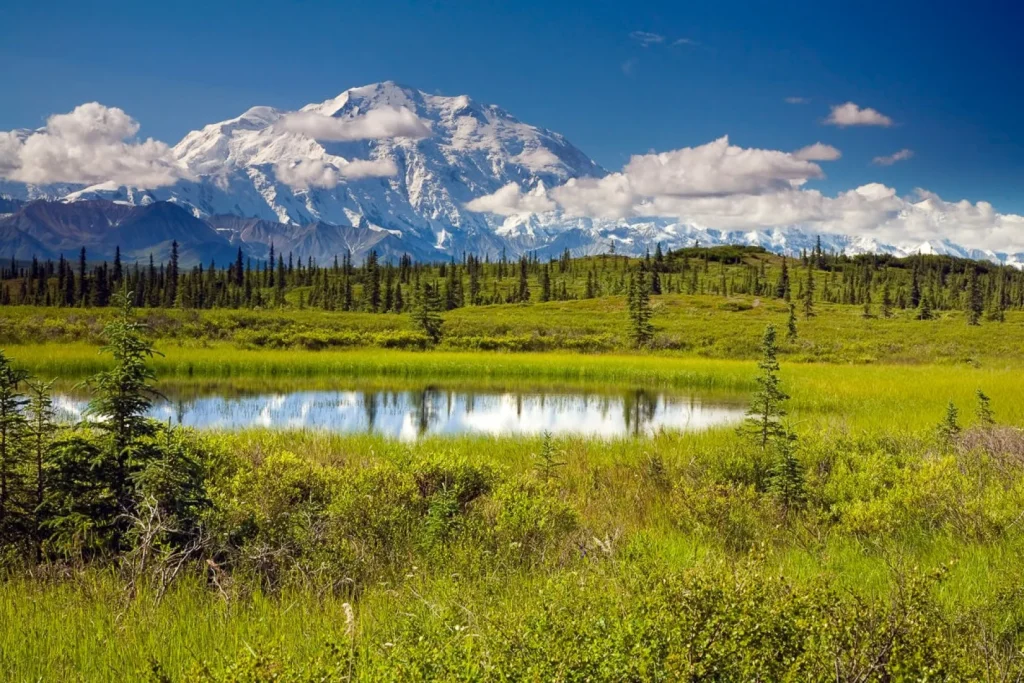 Alaska - Alaska highlights in 10 giorni