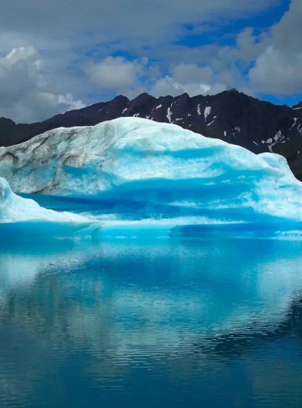Alaska - Denali e Kenai Fjords in self drive