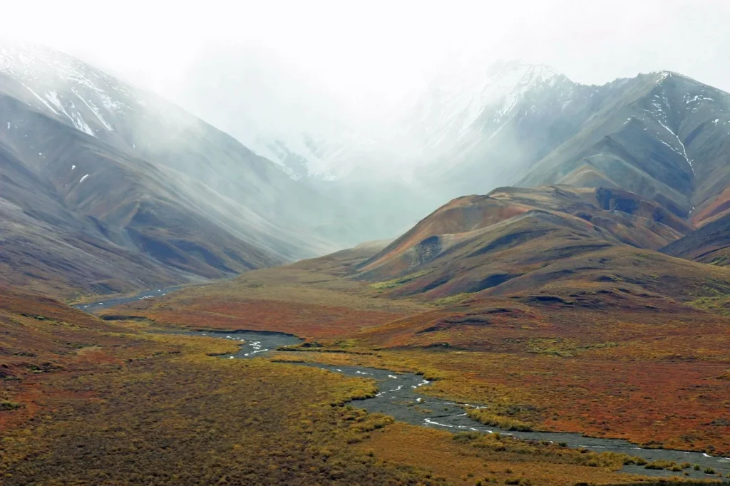Alaska - Denali e Kenai Fjords in self drive