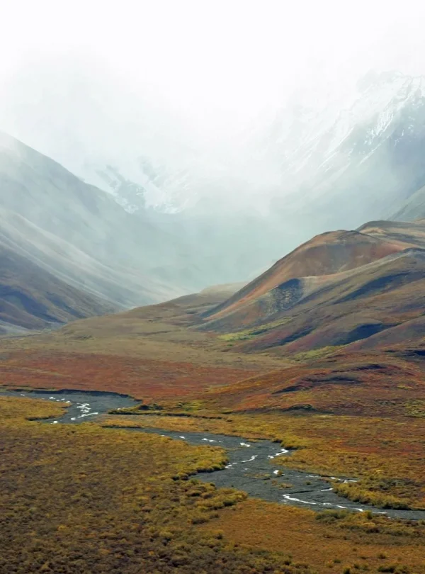 Alaska - Denali e Kenai Fjords in self drive
