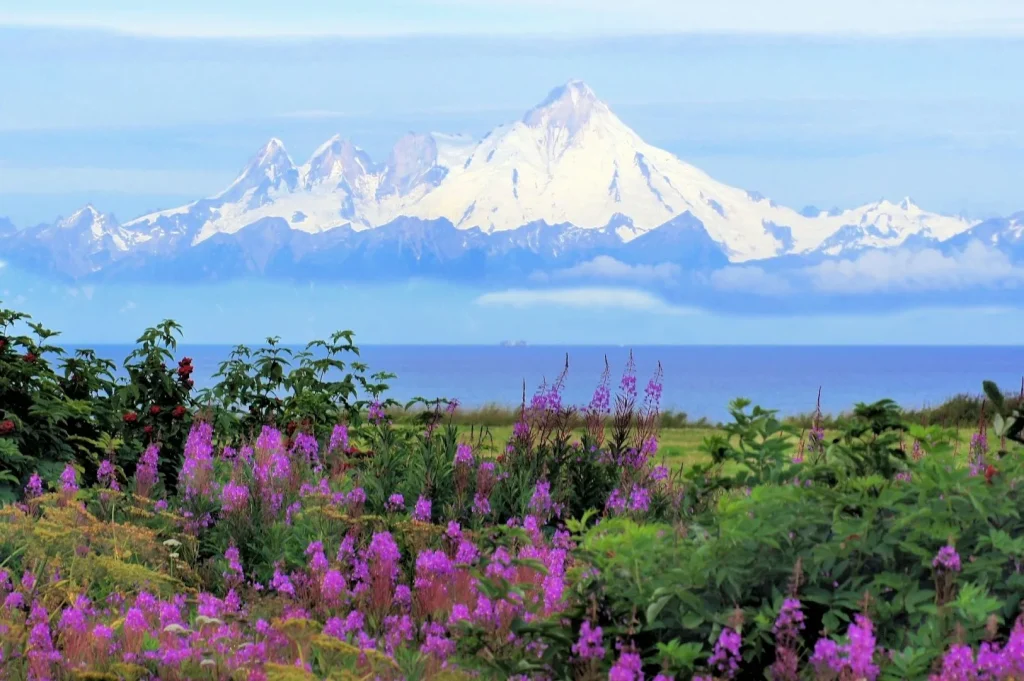 Alaska - Great Alaska Self Drive Tour