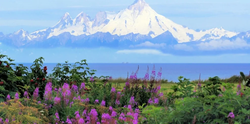Alaska - Great Alaska Self Drive Tour