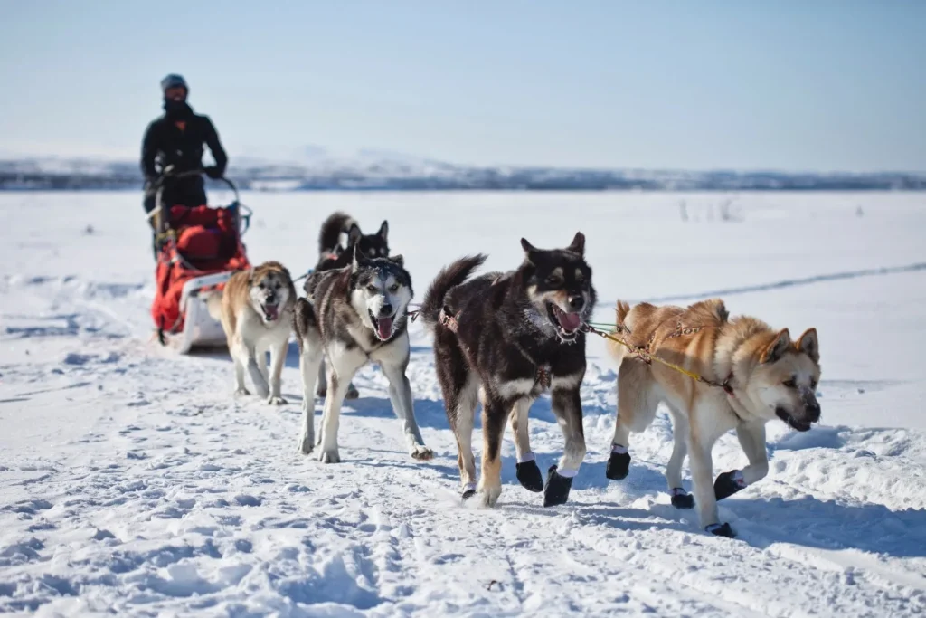 Alaska - Great Alaska Self Drive Tour