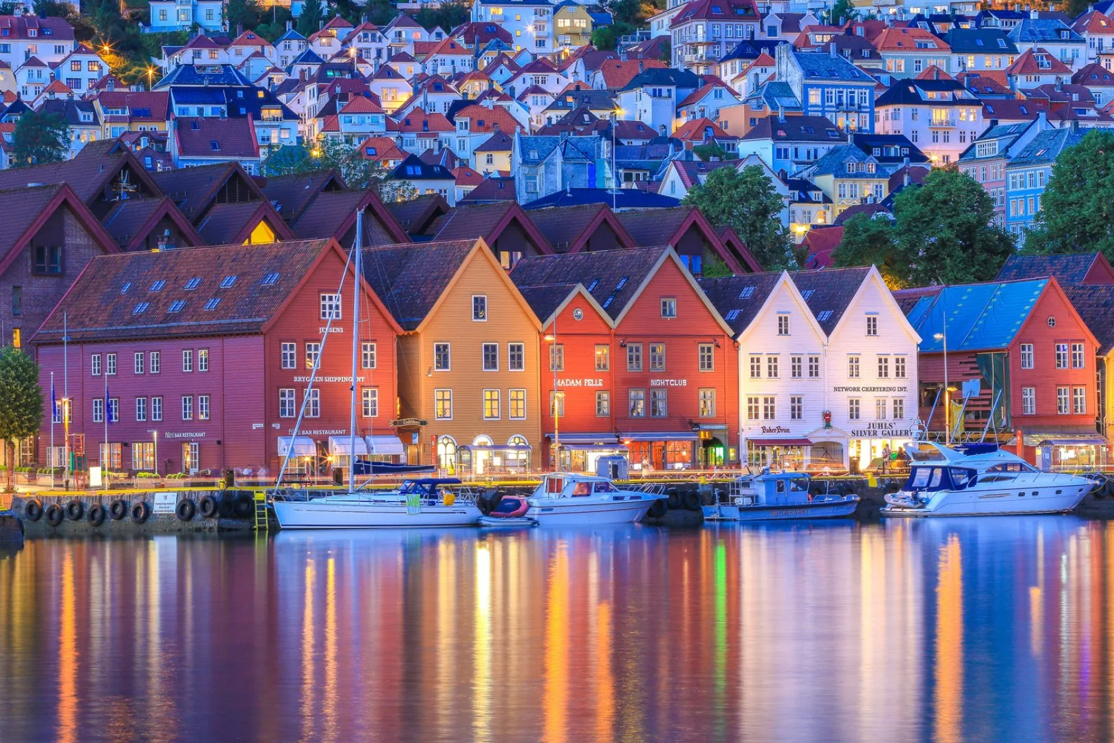Norvegia - Sognefjord in a nutshell - Tour eco friendly