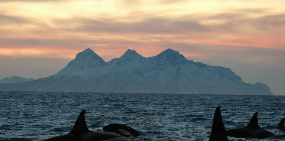 Norvegia - Le Isole Lofoten e Vesteralen