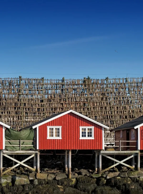 Norvegia - Le Isole Lofoten e Vesteralen