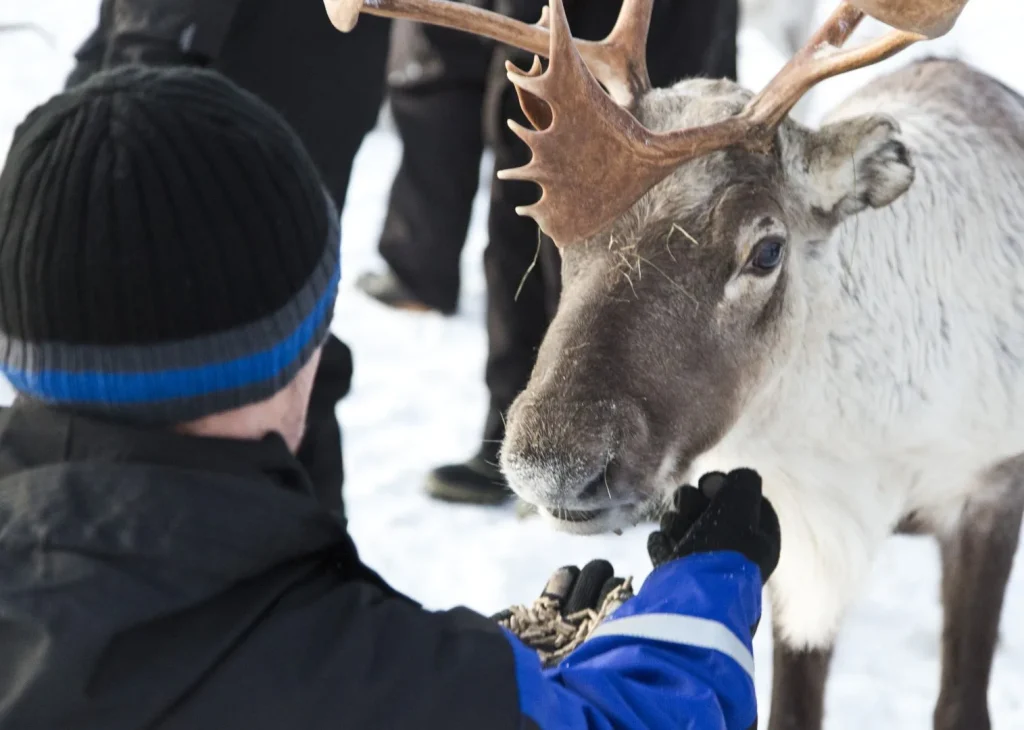 Finlandia – Arctic explorer al Wilderness Nellim Hotel