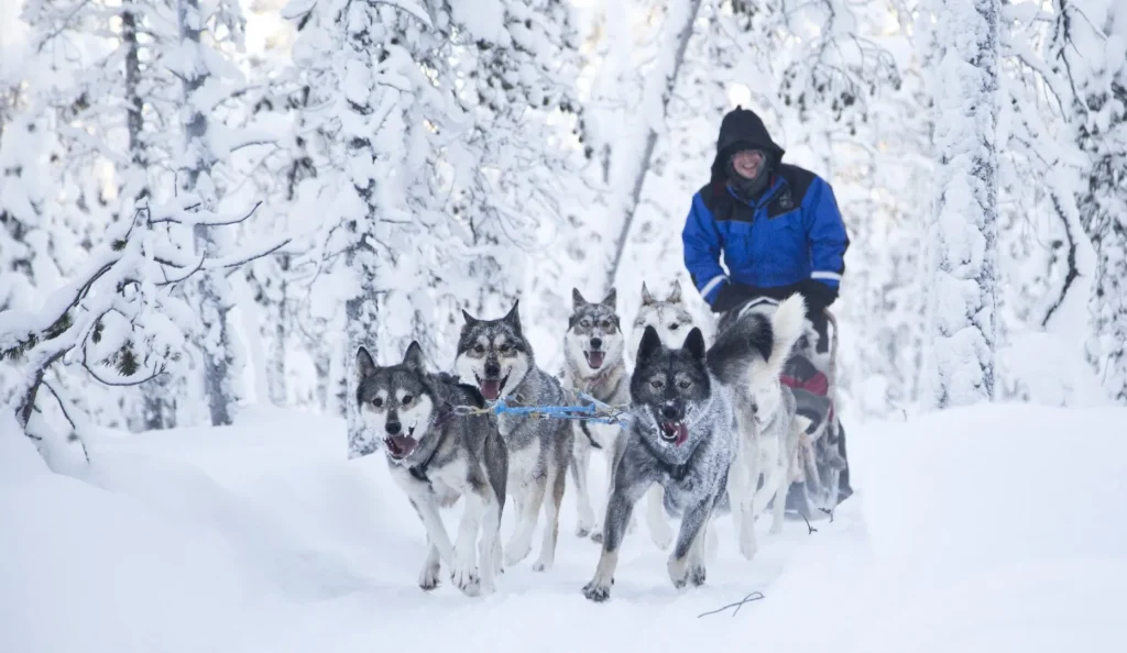 Finlandia – Arctic explorer al Wilderness Nellim Hotel