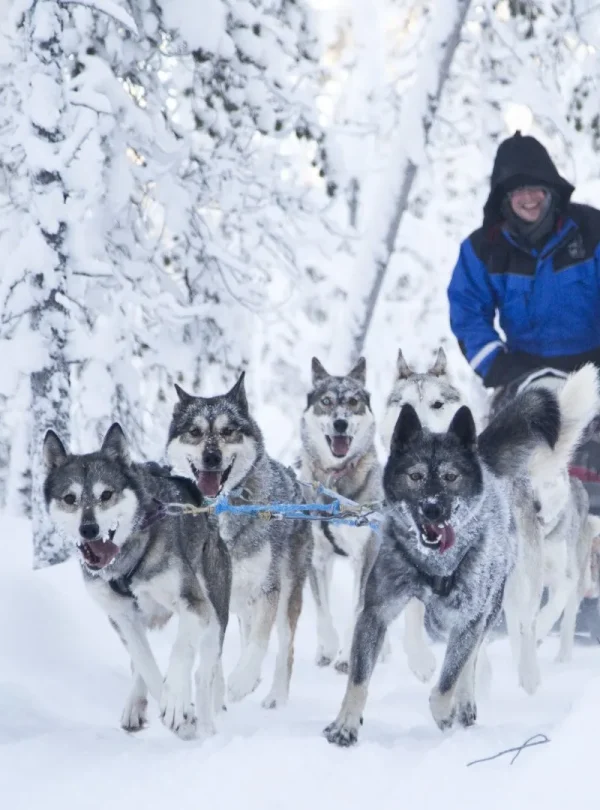Finlandia – Arctic explorer al Wilderness Nellim Hotel
