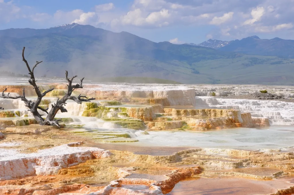 USA - Da Yellowstone al Grand Canyon - Self Drive