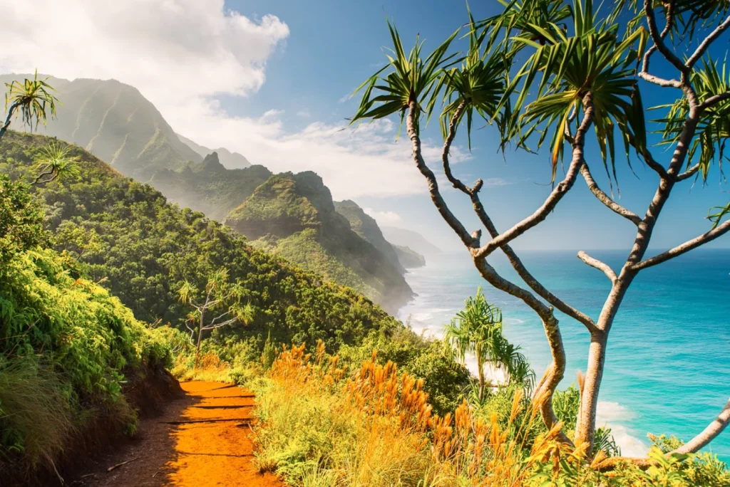 USA - Hawaii Trails - Sentieri del Pacifico del Sud - Hiking