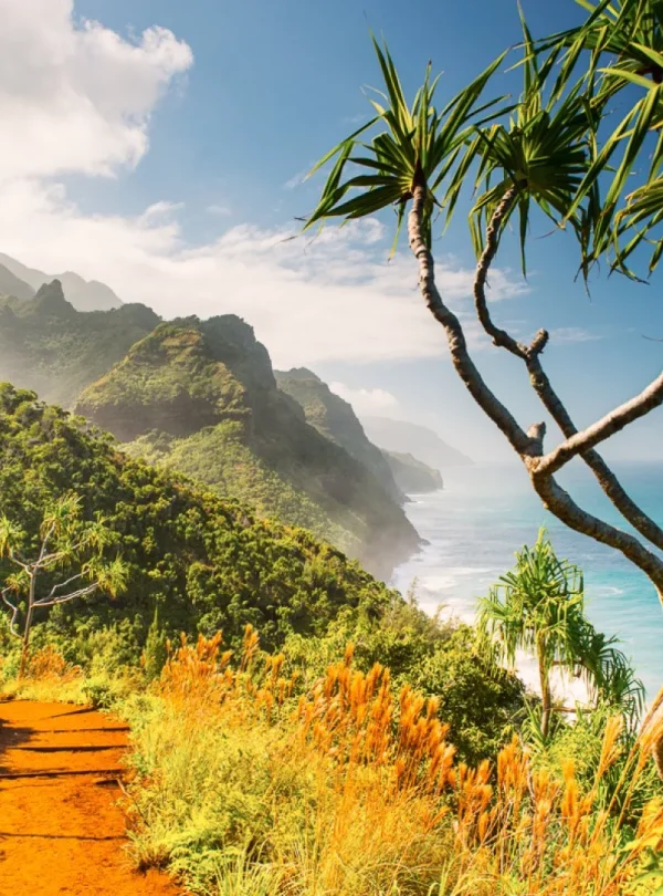 USA - Hawaii Trails - Sentieri del Pacifico del Sud - Hiking
