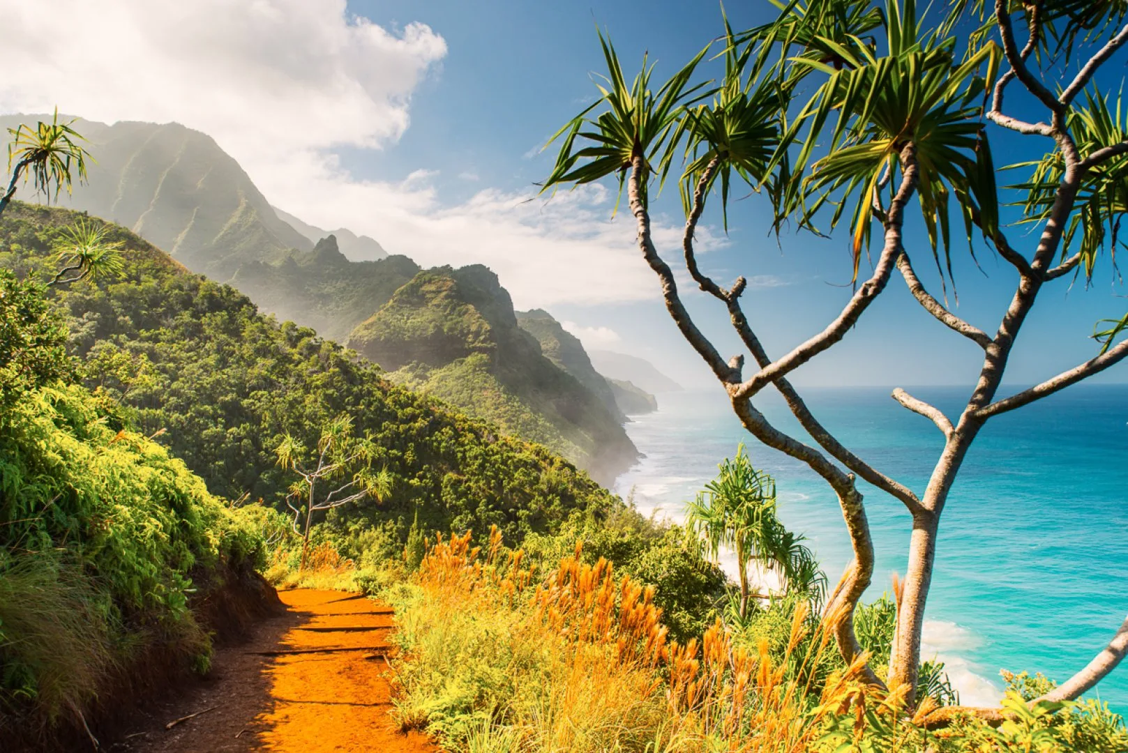 USA - Hawaii Trails - Sentieri del Pacifico del Sud - Hiking