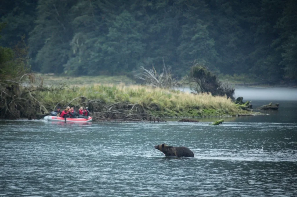 Spirit Bear Lodge