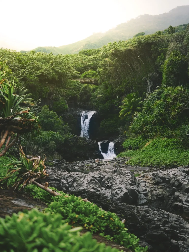 USA – I vulcani delle Hawaii