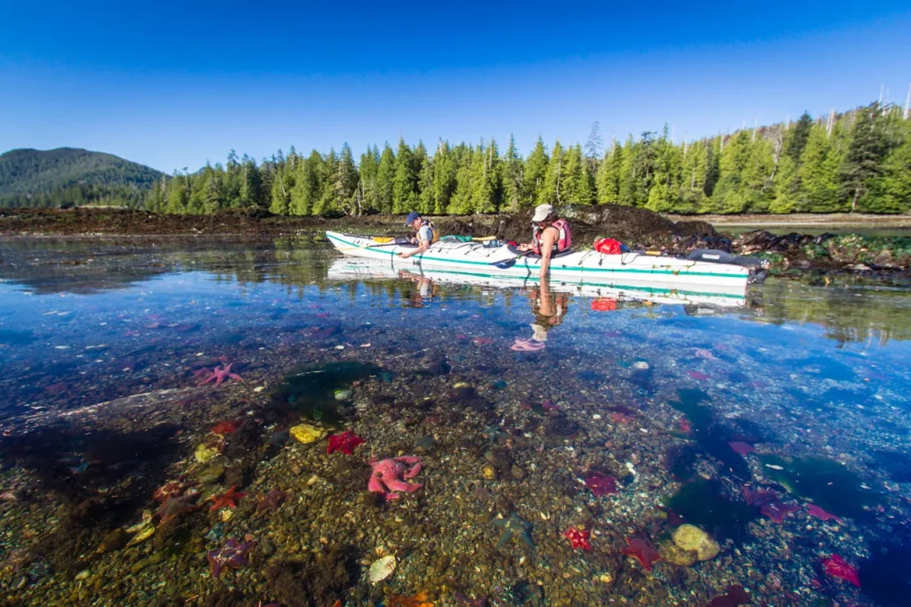 Canada – Haida Gwaii e la selvaggia costa occidentale