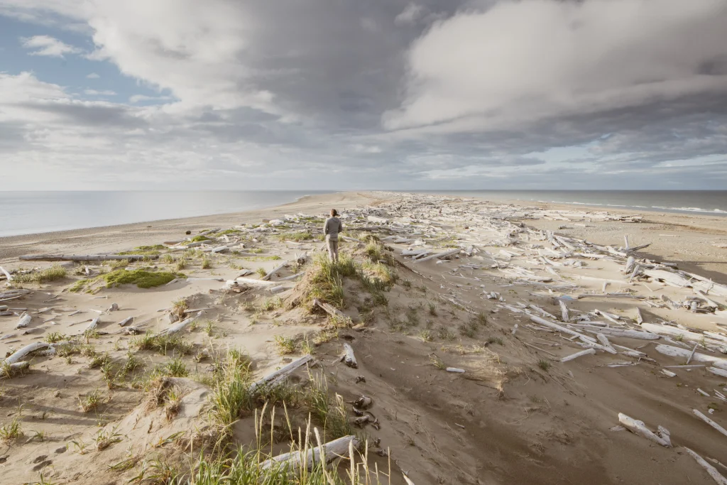Canada – Haida Gwaii e la selvaggia costa occidentale