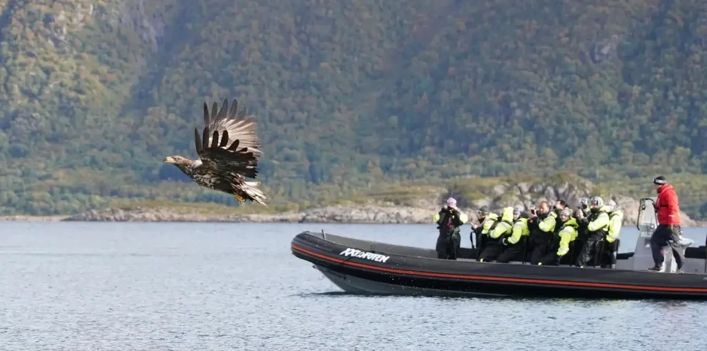 Norvegia – Safari artico: Lofoten e Vesterålen