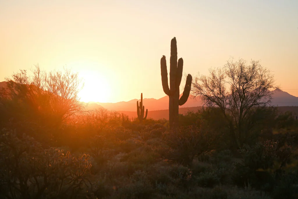 USA - Meraviglie dell'Arizona: dal deserto ai canyon