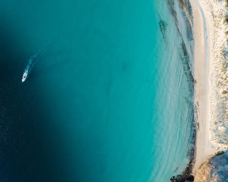Baja California – Meraviglie del Mar di Cortes