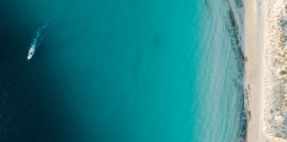 Baja California – Meraviglie del Mar di Cortes