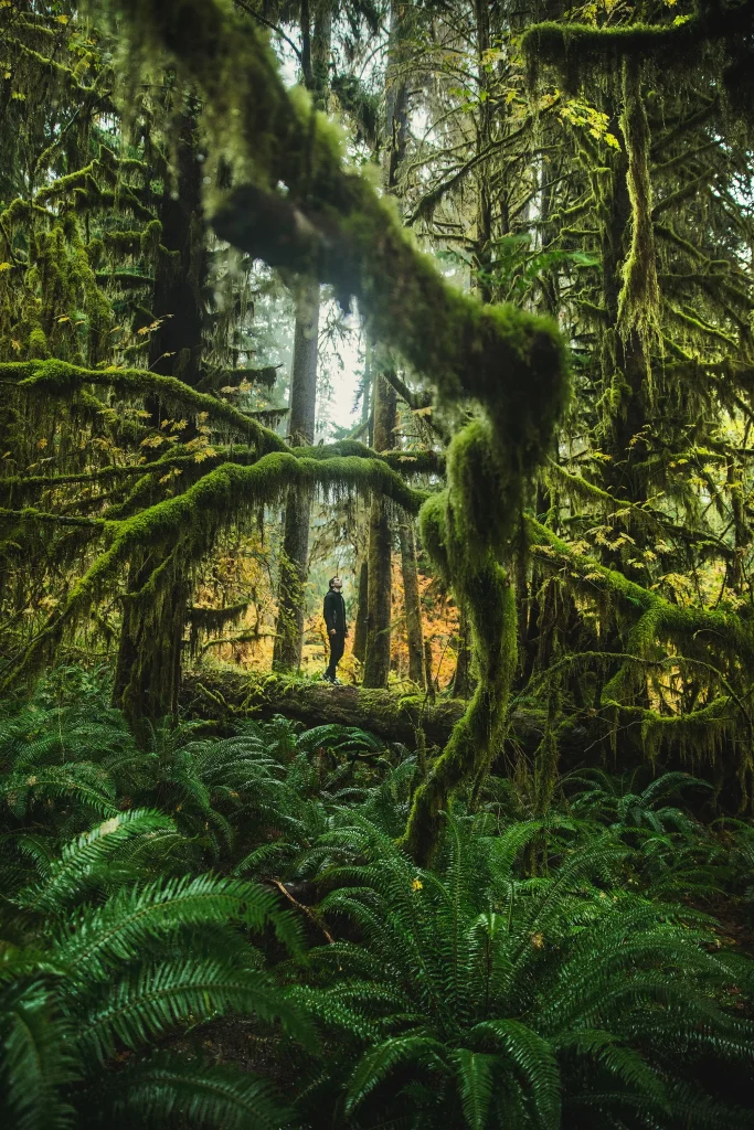 USA – Da Seattle a Vancouver