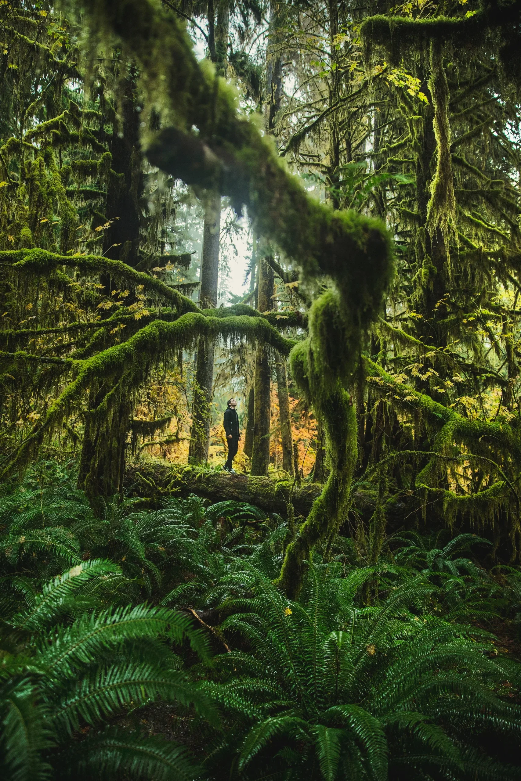 USA – Da Seattle a Vancouver